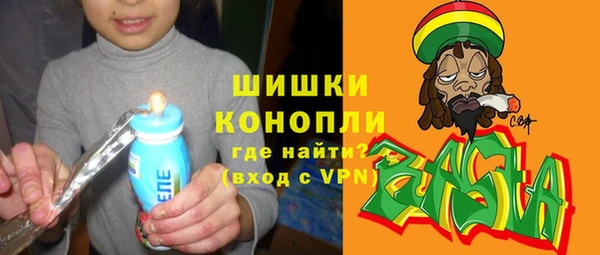молекула духа Вязьма