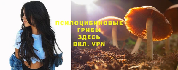 молекула духа Вязьма
