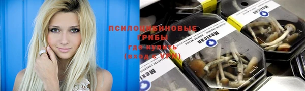 молекула духа Вязьма