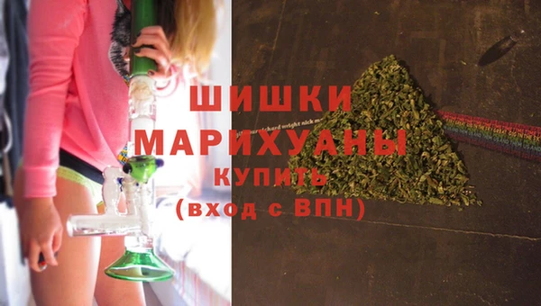 молекула духа Вязьма